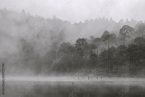 Montaña brumosa a la orilla de un lago, con neblina entre los arboles