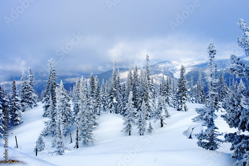 View of ski resort Sheregesh from Utya mountain. Snowdrifts and snow-covered trees in fluffy snow, sky in clouds, winter landscape.