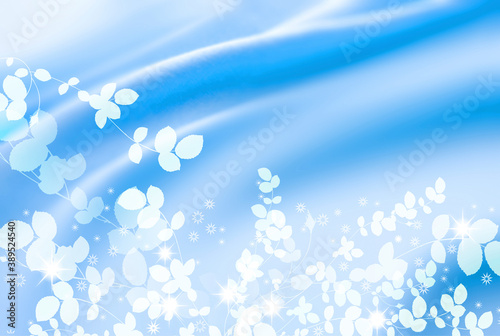 ビューティーイメージ