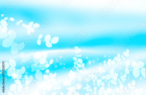 ビューティーイメージ