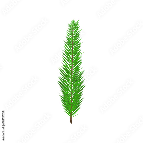 A branch of the New Year tree. Isolated element on a white background. For Christmas party decoration, stickers or New Year's goods decoration.