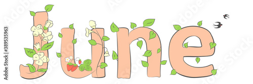 June word. June concept text with leaves, branches, berries, flowers, snowdrops. Vector illustration of June hand lettering text for poster, card, banner, template design. Summer month.