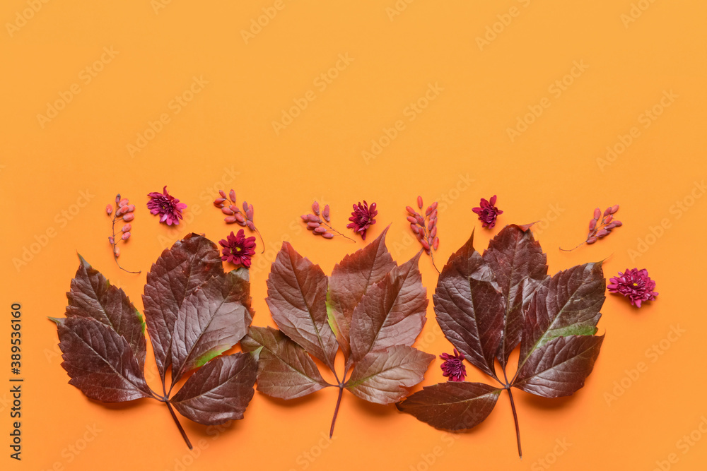 Beautiful autumn composition on color background Beautiful autumn composition on color background