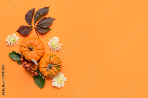 Autumn harvest festival dis...