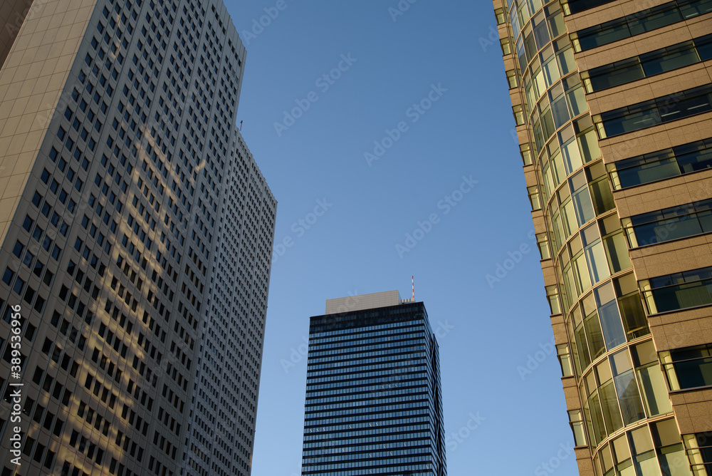 夕暮れ時の新宿の高層ビル