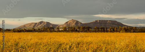 Vista del Montgrí con el campo de arroz está seco y de color dorado, listo para recolecta. La foto tomada durante la puesta de Sol cerca de Pals, Baix Empordà, Girona, Cataluña, España © Toni Aulés