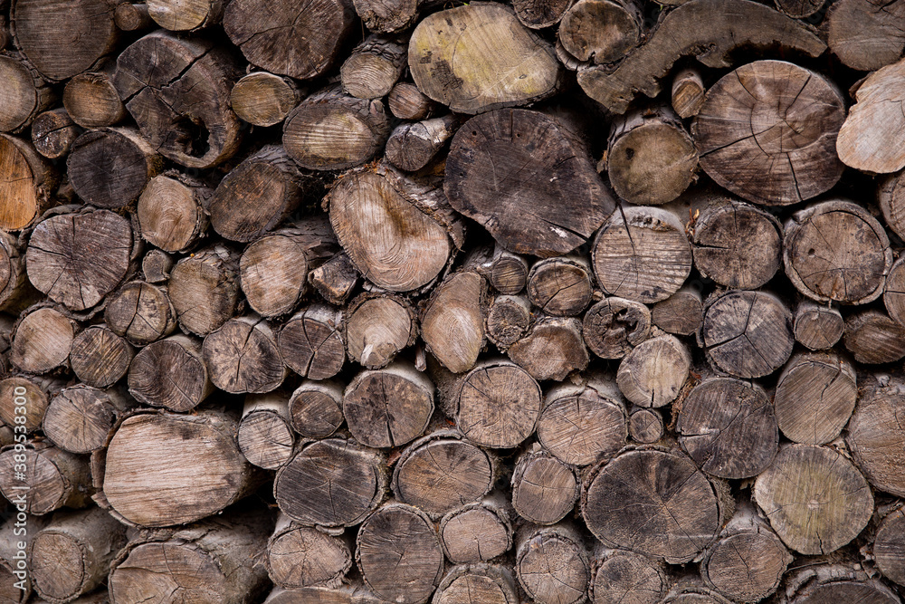 Round teak wood stump background for decoration. Round teak wood stump background for decoration.