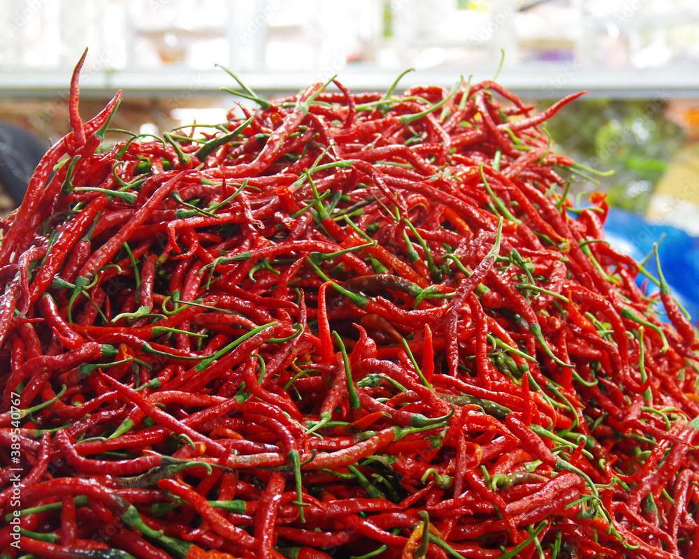 Fototapeta premium Various types of vegetables that grow in Indonesia