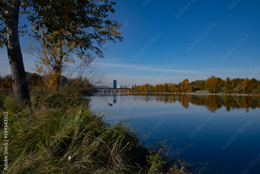 autumn scene at the Danube island in Vienna Austria