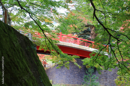 中野もみじ山の紅葉（青森県・黒石市） photo