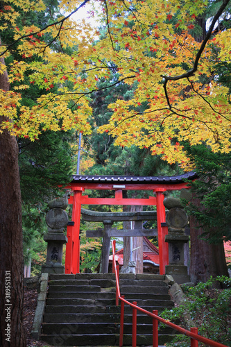 中野もみじ山の紅葉（青森県・黒石市）