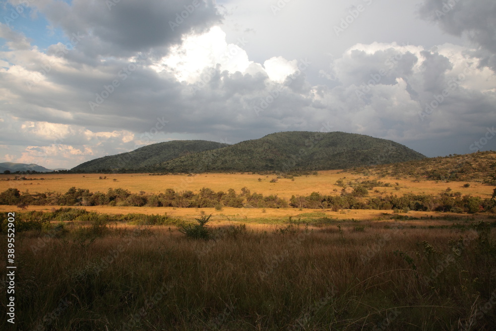 View of Pilanesberg National Park with mountains, grassland and bushland during Spring in South Africa