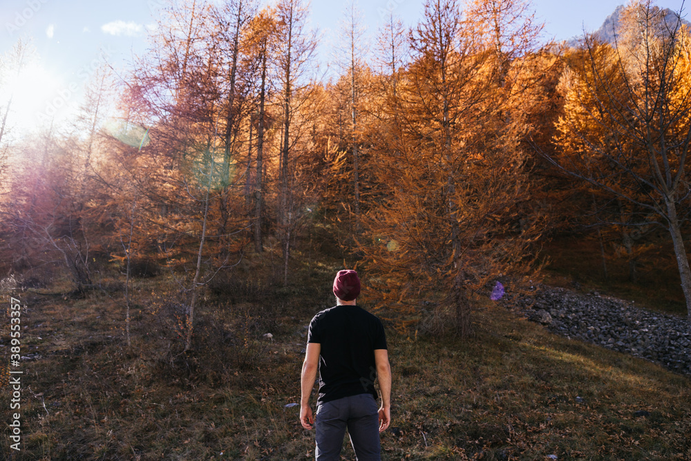 Young hipster boy standing in the woods Young hipster boy standing in the woods