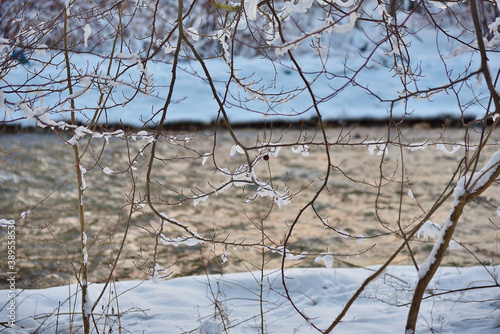 Fototapeta Naklejka Na Ścianę i Meble -  Winter