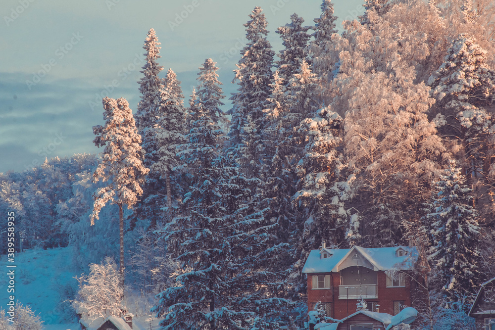 Φωτογραφία village houses in the snow in the winter forest in the pink light of the setting