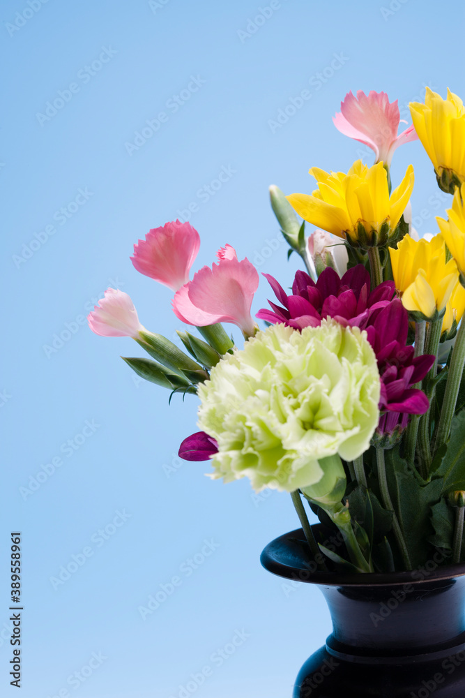 Fotografie 仏花