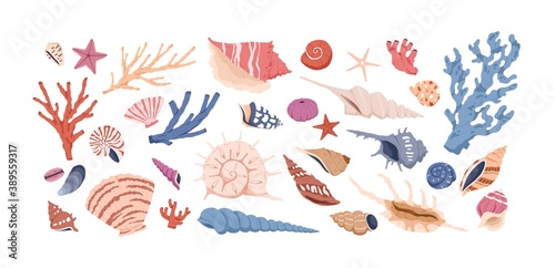 Seashells, corals and starfishes collection isolated on white background. Marine set with sea shells. Collection of seabed flora and fauna design elements. Colorful flat vector illustration on white