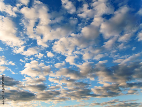 Fototapeta Naklejka Na Ścianę i Meble -  Clouds in the summer blue sky-5