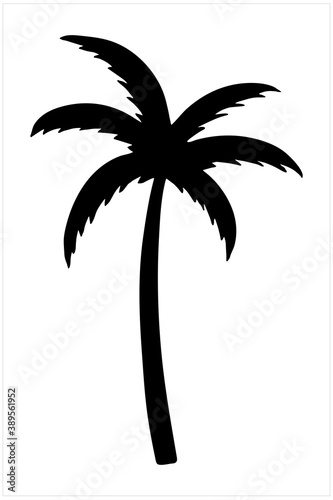 Palm tree  isolated hand drawn black and white vector illustration on white background