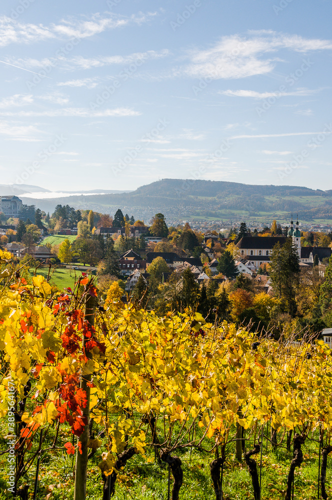 Arlesheim, Dom, Weinberg, Birstal, Birsebene, Dorf, Dornach, Herbst, Herbstlaub, Baselland, Schweiz