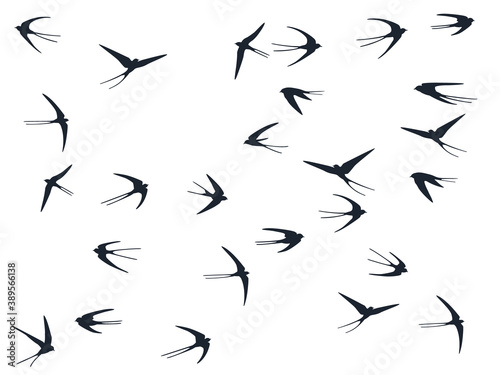Flying martlet birds silhouettes vector illustration. Migratory martlets school isolated on white. 