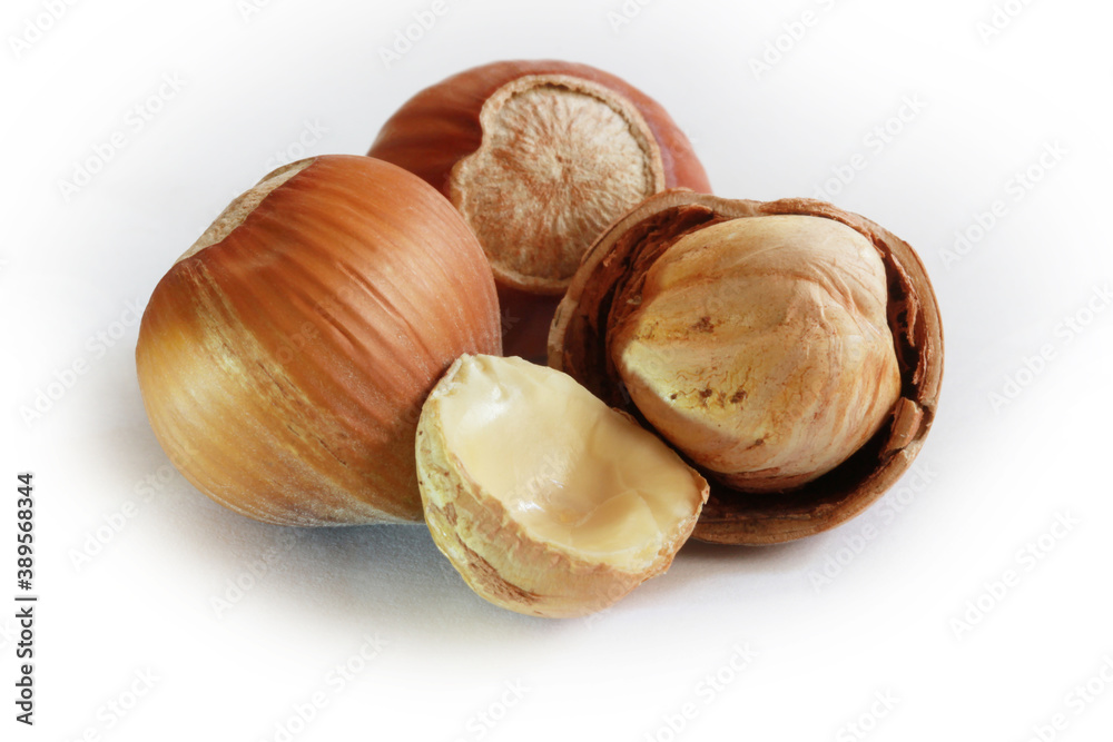 Hazelnuts isolated on white background. Studio shot. Hazelnuts isolated on white background. Studio shot.