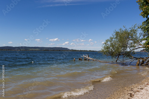 Fototapeta Naklejka Na Ścianę i Meble -  View of the lake and the lakeside of the Kochelsee in Bavaria
