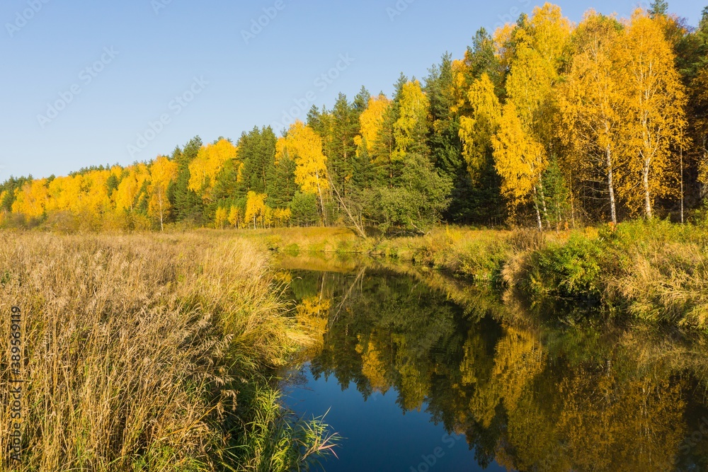 Mixed forest autumn landscape with water reflection.