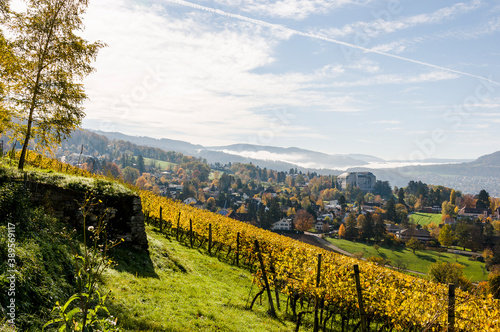 Arlesheim, Dornach, Weinberg, Birstal, Birsebene, Laufental, Dorf, Herbst, Herbstlaub, Baselland, Schweiz photo