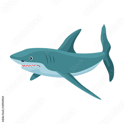 Shark cartoon vector icon.Cartoon vector illustration fish of sea. Isolated illustration of shark icon on white background.