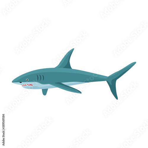 Shark cartoon vector icon.Cartoon vector illustration fish of sea. Isolated illustration of shark icon on white background.