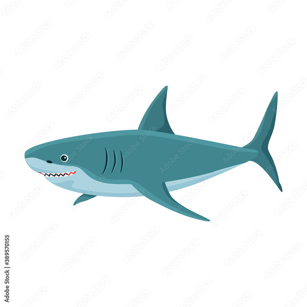Shark cartoon vector icon.Cartoon vector illustration fish of sea. Isolated illustration of shark icon on white background. Shark cartoon vector icon.Cartoon vector illustration fish of sea. Isolated illustration of shark icon on white background.