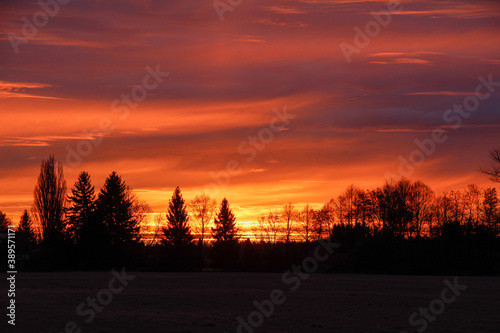 colorful sunrise over the edge of the forest