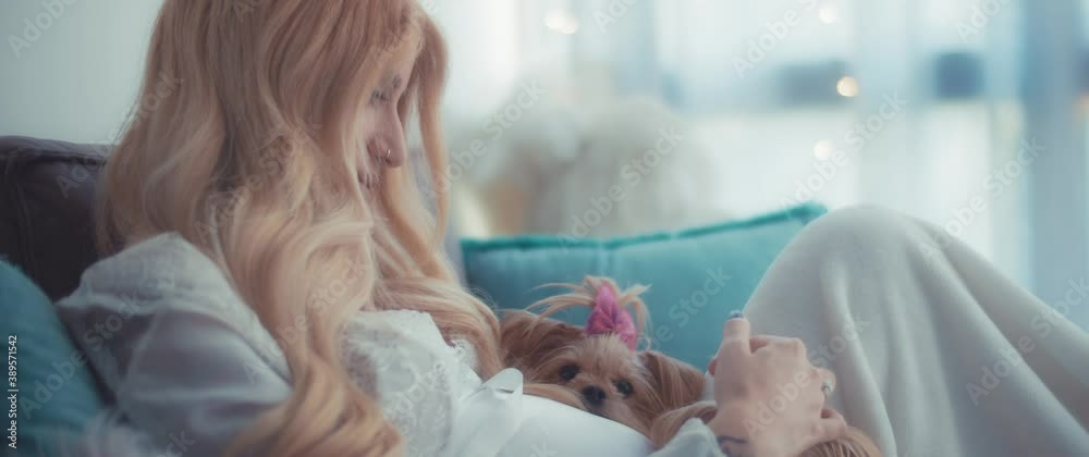Beautiful pregnant woman cuddling with her small terrier twin puppies on a cozy couch at home. Slow motion, shallow depth of field, daylight, medium shot. Beautiful pregnant woman cuddling with her small terrier twin puppies on a cozy couch at home. Slow motion, shallow depth of field, daylight, medium shot.