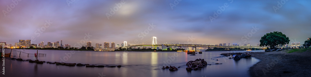 Panorama view of Tokyo skyline in the evening. Tokyo city, Japan.