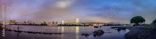 Panorama view of Tokyo skyline in the evening. Tokyo city  Japan.