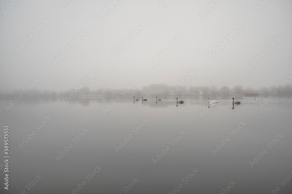 morning fog in Haapsalu town. Estonia