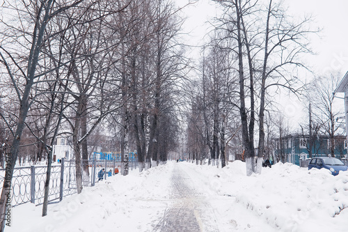 Winter forest landscape. Tall trees under snow cover. January frosty day in the park.