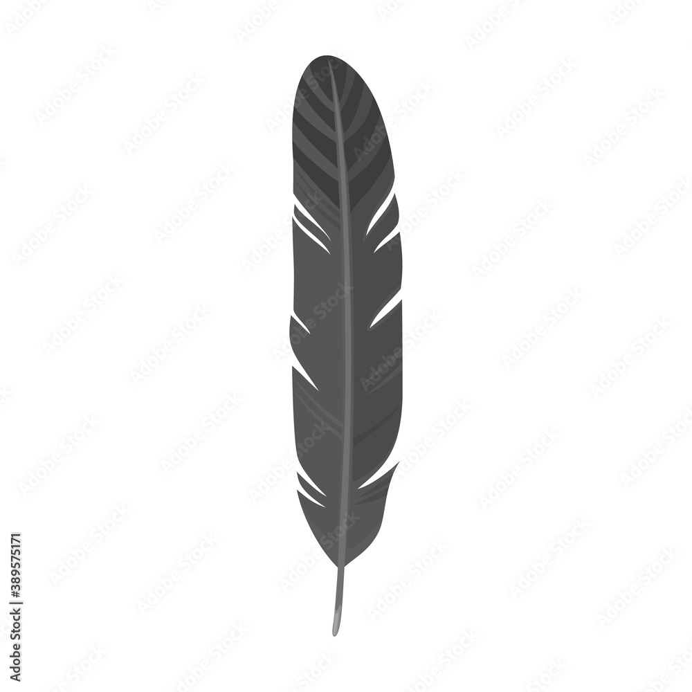 Feather of bird cartoon vector icon.Cartoon vector illustration watercolor of pen. Isolated illustration of feather of bird icon on white background. Feather of bird cartoon vector icon.Cartoon vector illustration watercolor of pen. Isolated illustration of feather of bird icon on white background.