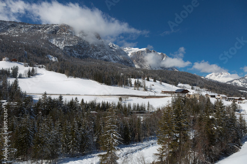 Beautiful Day in the Mountains with Snow-covered Fir Trees and a Snowy Mountain Panorama