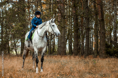 Little boy in a jockey cap on a white adult horse on a background of nature. Jockey, hippodrome, horseback riding © Aliaksandr Marko