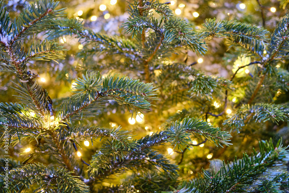 Christmas tree background in golden light of garlands. Decorations for the new year and christmas, copy space