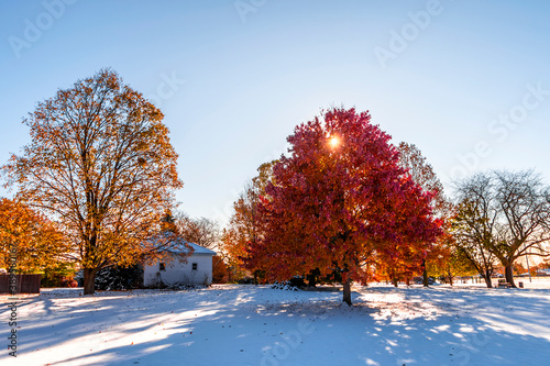 Rosemary S. Argus Friendship Park in Des Plaines Town of Illinois photo