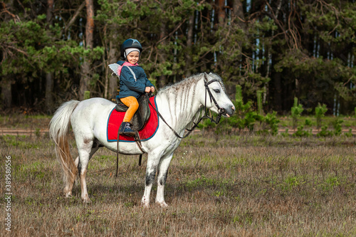Little girl on a white pony on a background of nature. Jockey, hippodrome, horseback riding. © Aliaksandr Marko