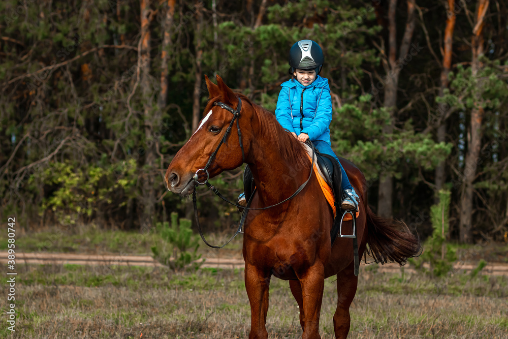 Little girl on an adult brown horse on the background of nature. Jockey, epodrome, horseback riding. Little girl on an adult brown horse on the background of nature. Jockey, epodrome, horseback riding.