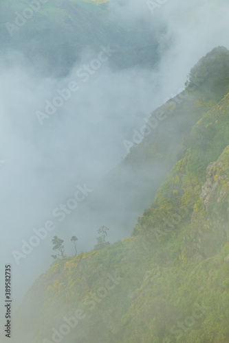 Parque Nacional Monta  as Simien  Etiopia  Africa