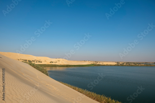 Alasfar Lake (Yellow Lake) near Al Hasa in Eastern Saudi Arabia