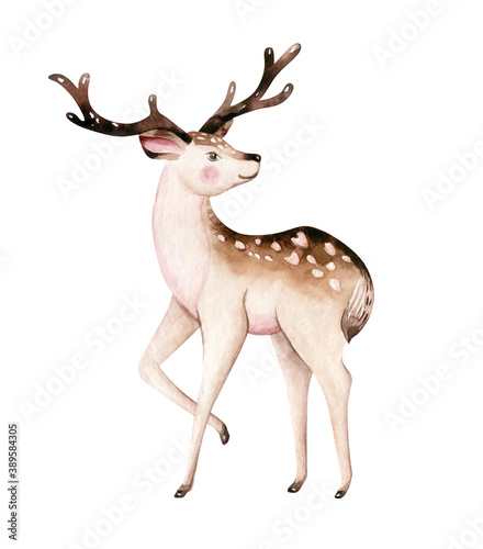 Christmas watercolor deer. Cute kids xmas fawn forest animal illustration, new year card or poster.