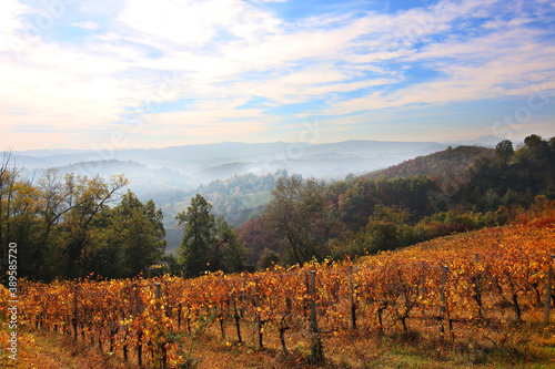 Vigneti in autunno in collina photo