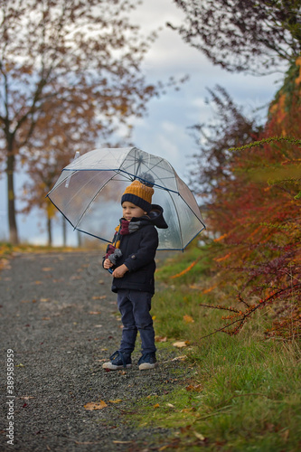 Sweet toddler blond child  cute boy  playing in autumn park with colofrul trees and bushes